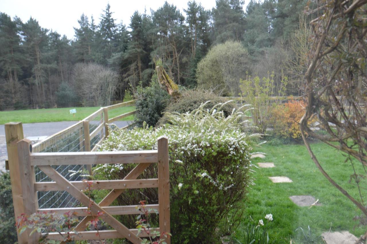 Middlehead Cottages Pickering Exteriér fotografie